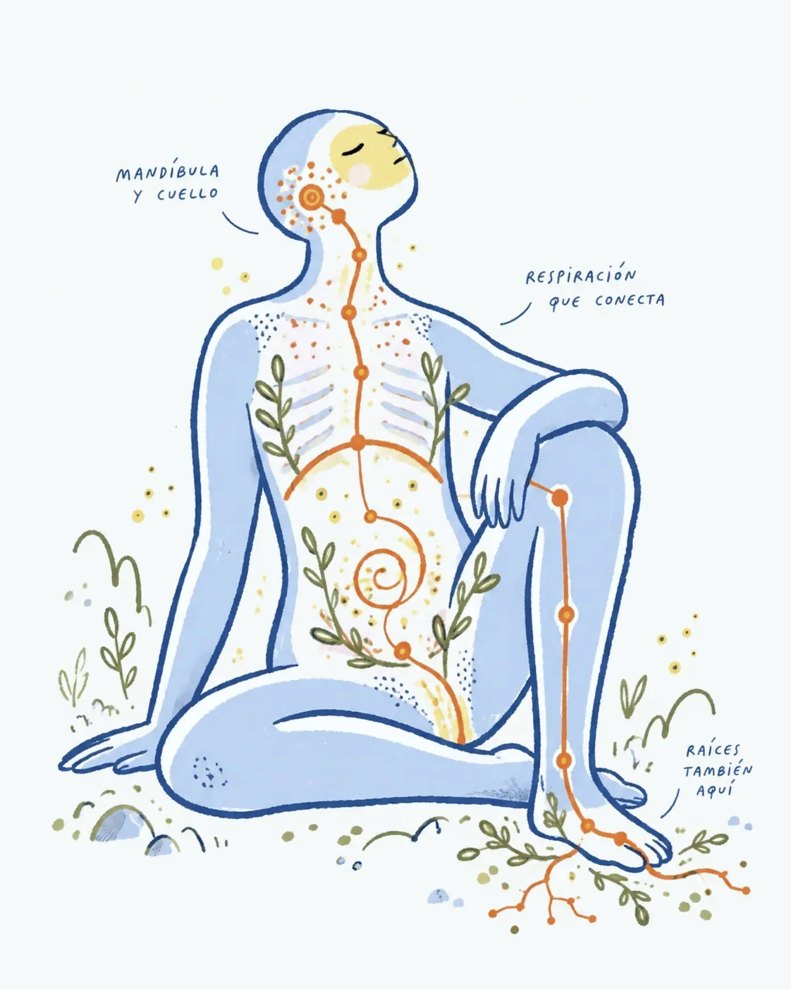 Ilustración de una figura sentada: una línea conecta la mandíbula y el cuello con la respiración y el abdomen.